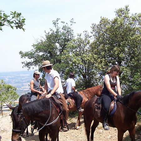 Hotel Rural Ocell Francoli Espluga de Francolí Екстериор снимка